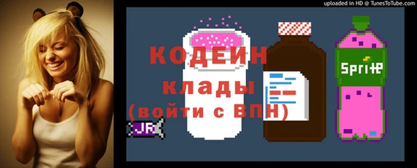 2c-b Новозыбков