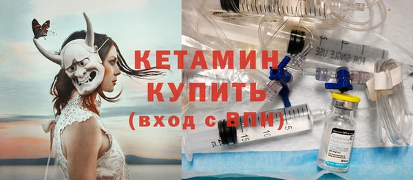 хмурый Болотное