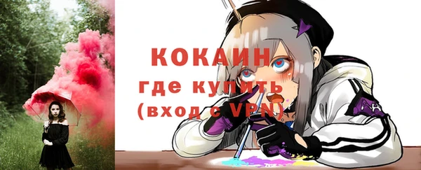 2c-b Новозыбков